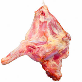 Beef Forequarter