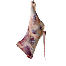 Beef Hindquarter | Whole Rear Half